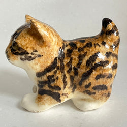 Winstanley Bengal Kitten - Size 1