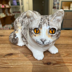 Tabby and White Winstanley Cat - Size 5