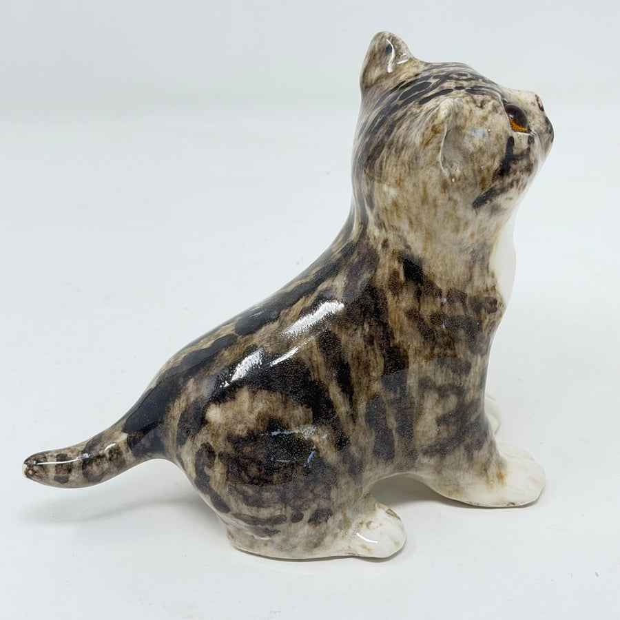 Winstanley Tabby & White Cat Looking Up - Size 1