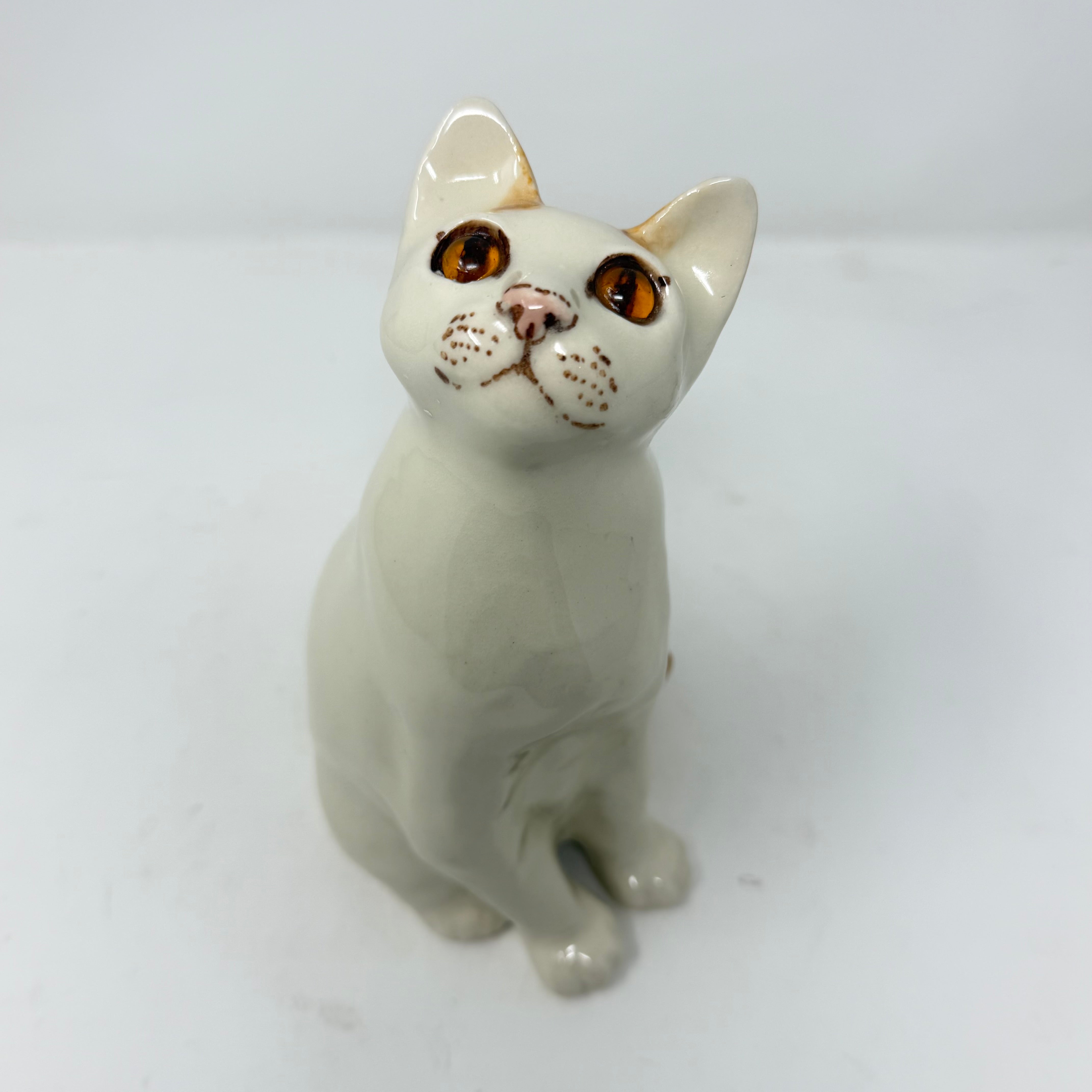 Winstanley White and Ginger Cat Size 2