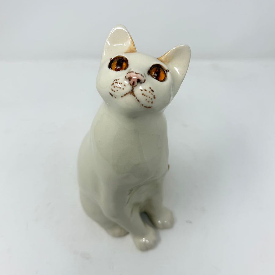 Winstanley White and Ginger Cat Size 2