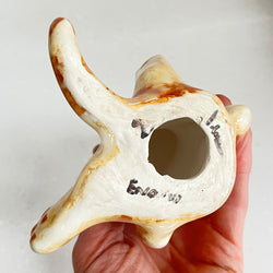 Winstanley Interrupted Ginger Cat - Size 2