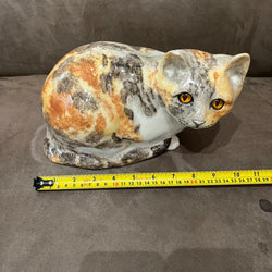Winstanley Tortie & White - Size 5 - reduced due to small ear chip