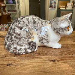 Tabby and White Winstanley Cat - Size 5