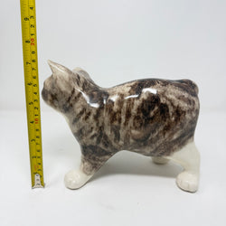 Winstanley Grey & White Manx Cat - Size 5