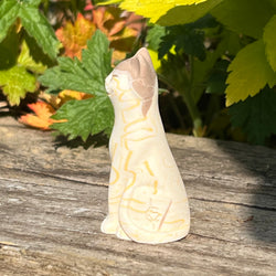 Tiramisu Original Lucky Kitten