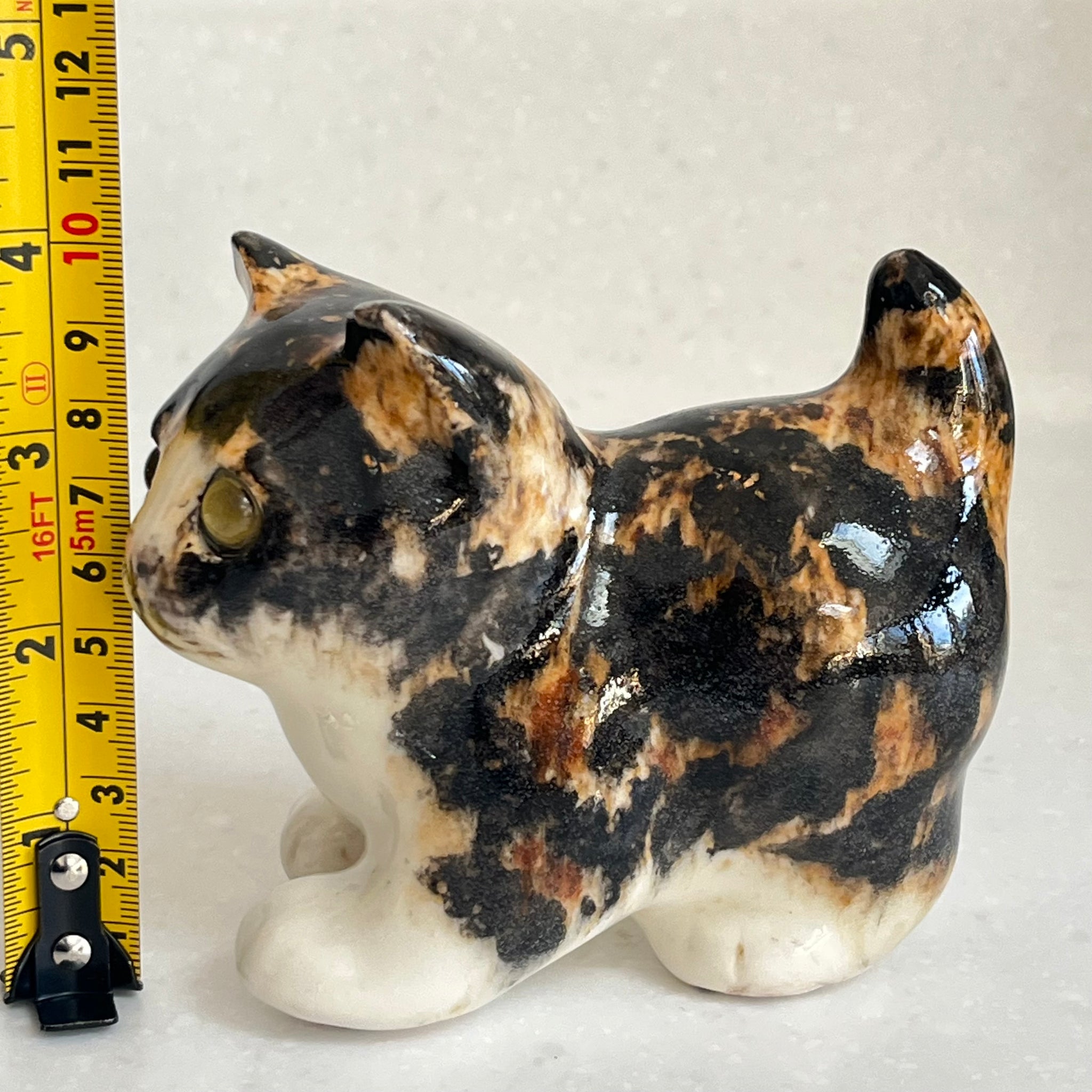 Winstanley Tortie and White Kitten - Size 1