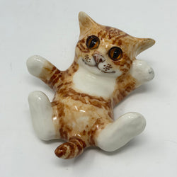 Winstanley Ginger & White Playful on Back Cat - Size 1