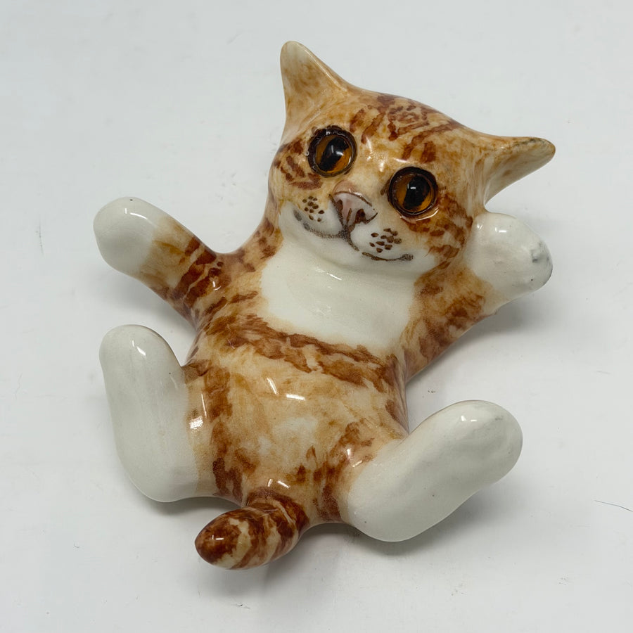 Winstanley Ginger & White Playful on Back Cat - Size 1