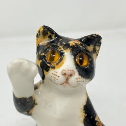 Winstanley Tortoiseshell Cat Paw Raised - Size 1