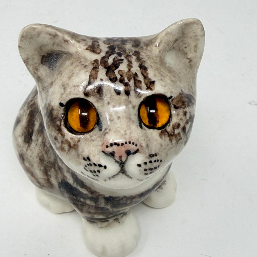 Winstanley Grey Tabby Cat Looking Up - Size 1