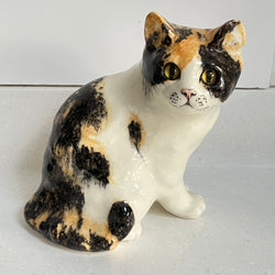 Winstanley Tortoiseshell Cat Sitting Up - Size 4