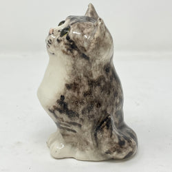 Winstanley Grey and White Cat Looking Up - Size 1