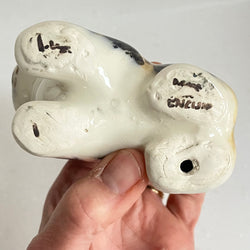 Winstanley Tortoiseshell Kitten - Size 1