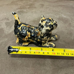 Winstanley Tortie Kitten - Size 1