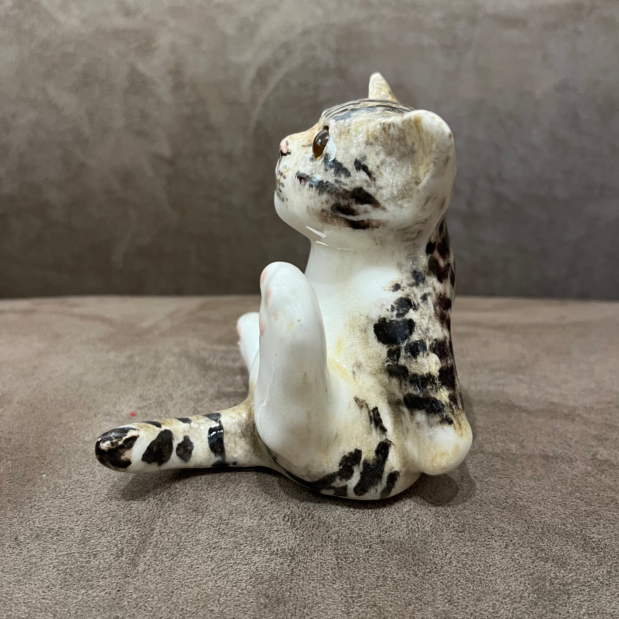 Winstanley Tabby & White Size 2