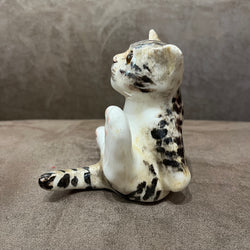Winstanley Tabby & White Size 2