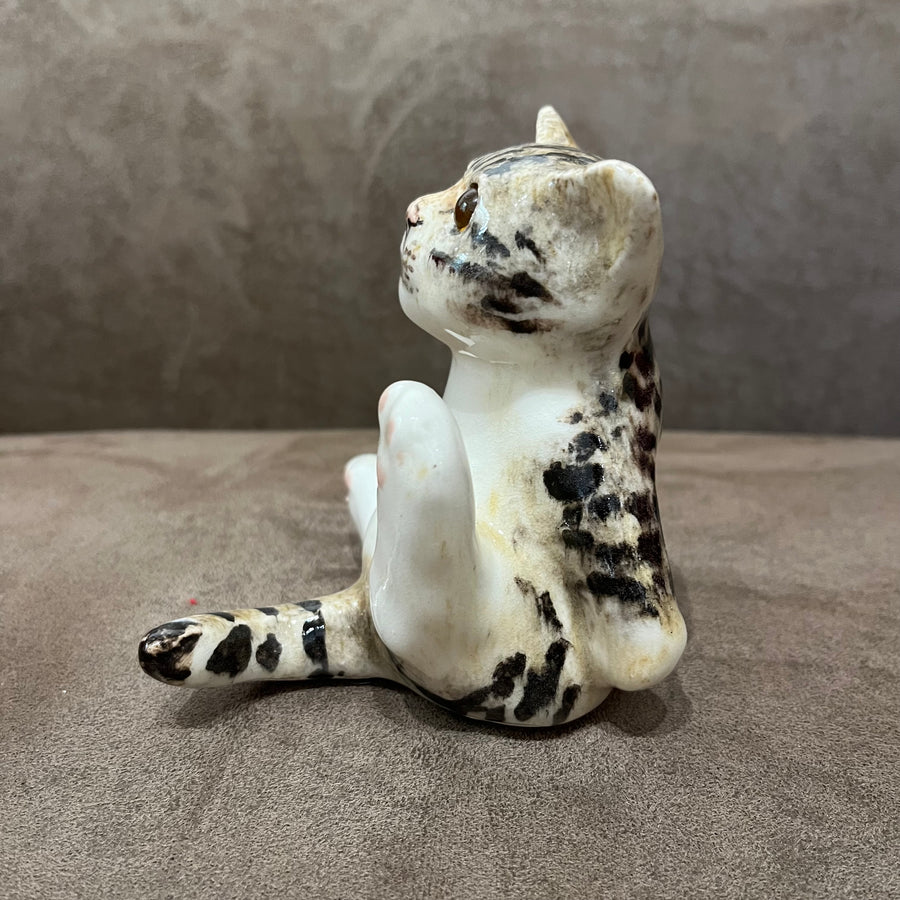 Winstanley Tabby & White Size 2