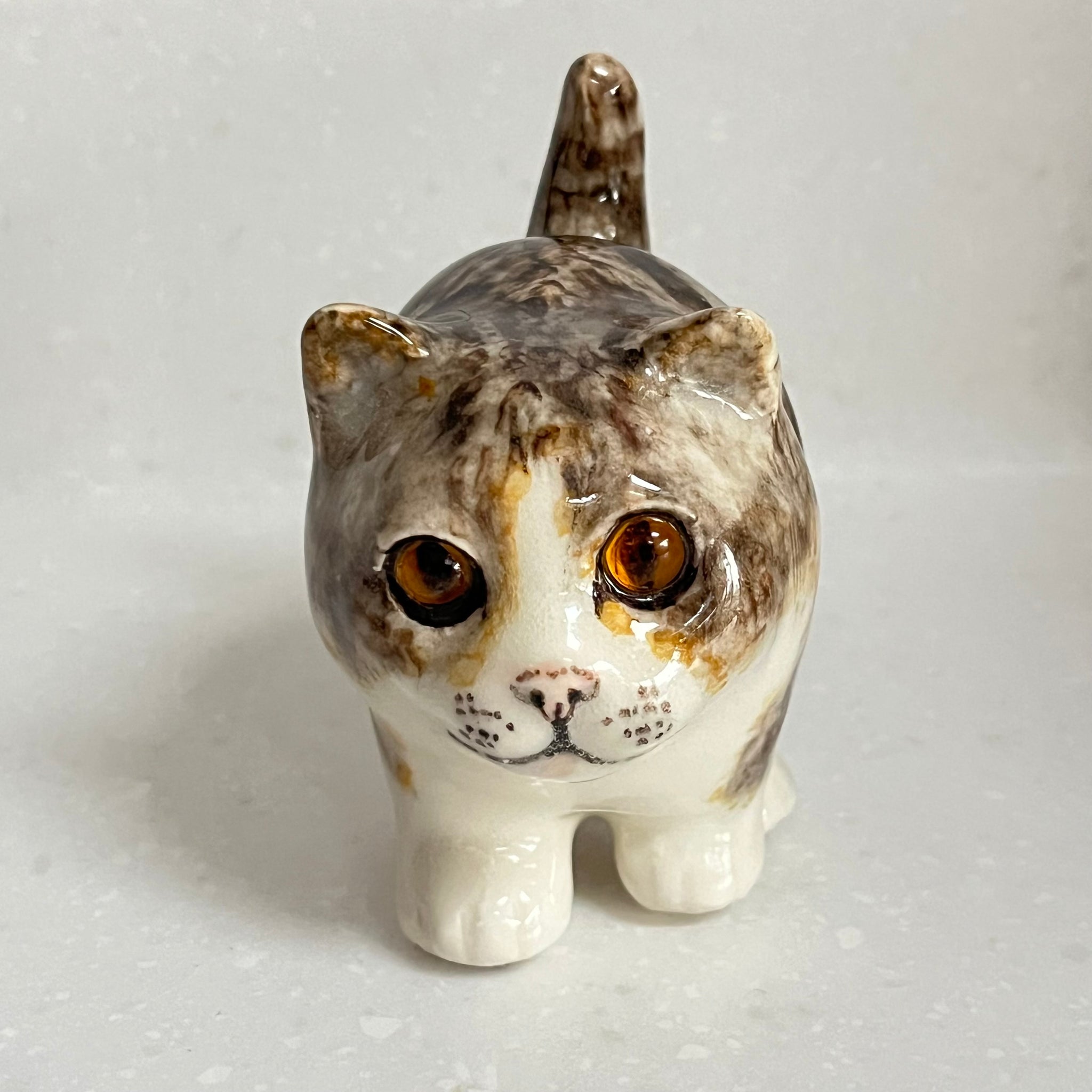 Winstanley Chubby Kitten - Size 1