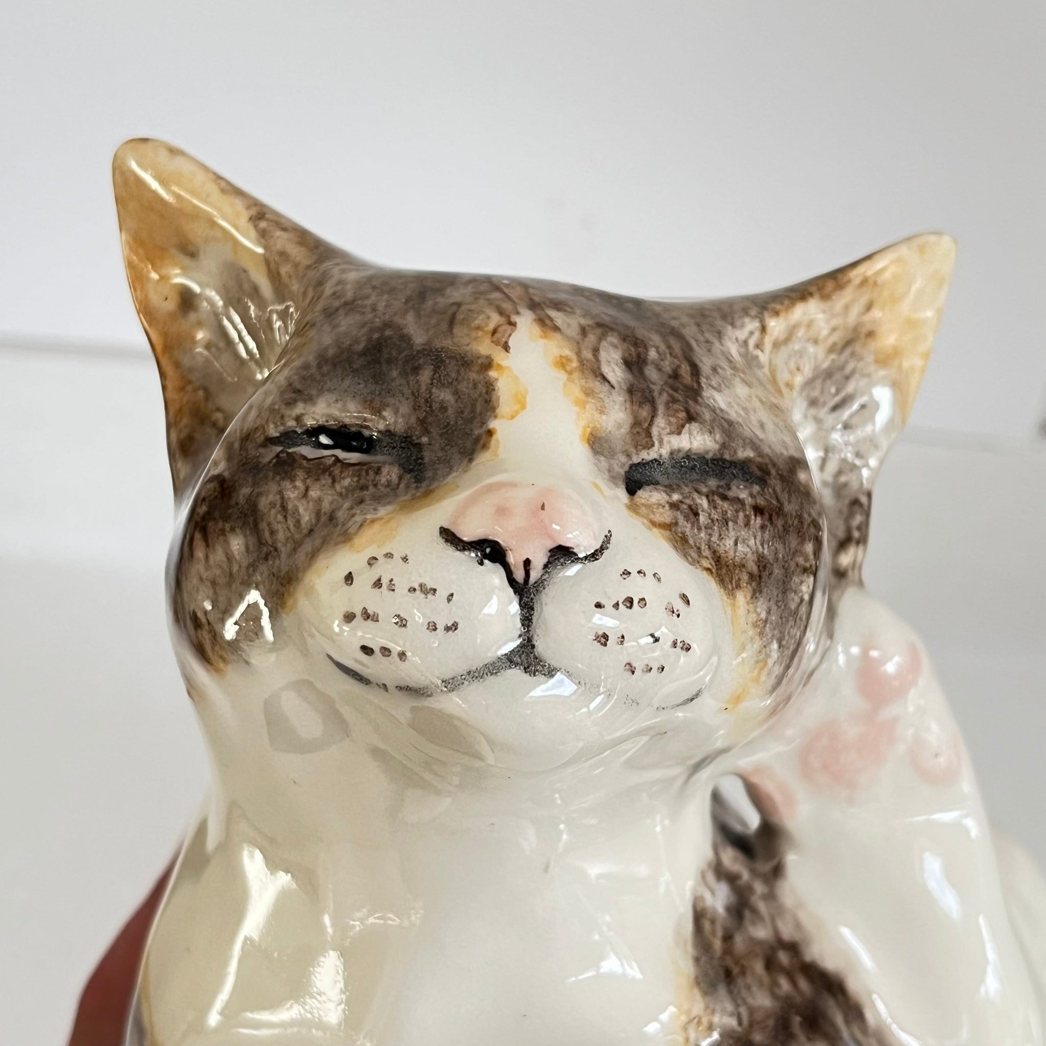 Winstanley Tabby Cat Scratching - Size 5