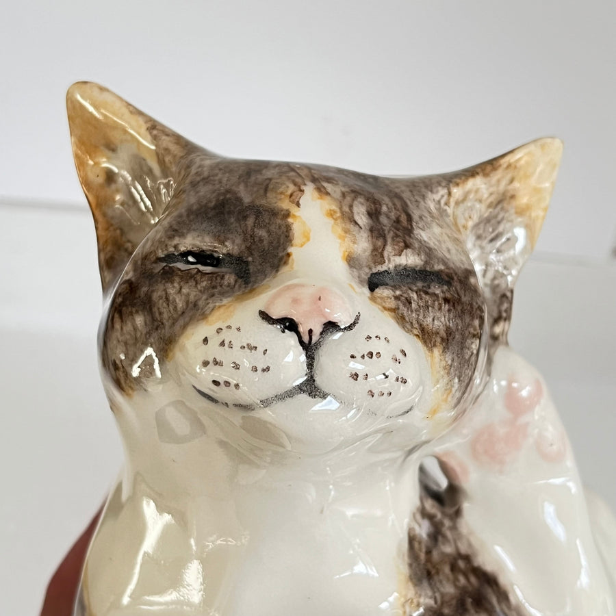 Winstanley Tabby Cat Scratching - Size 5
