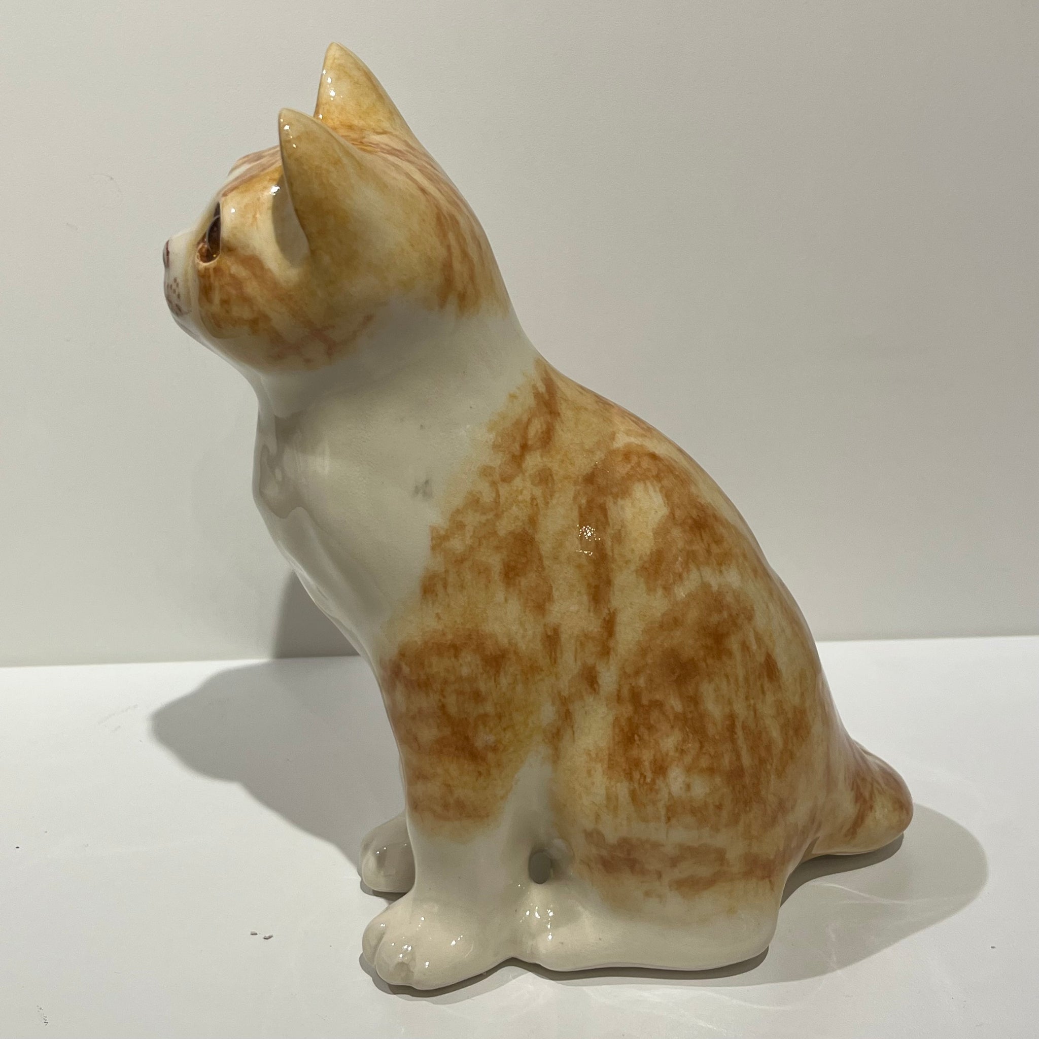 Ginger & White Winstanley Cat - Size 3