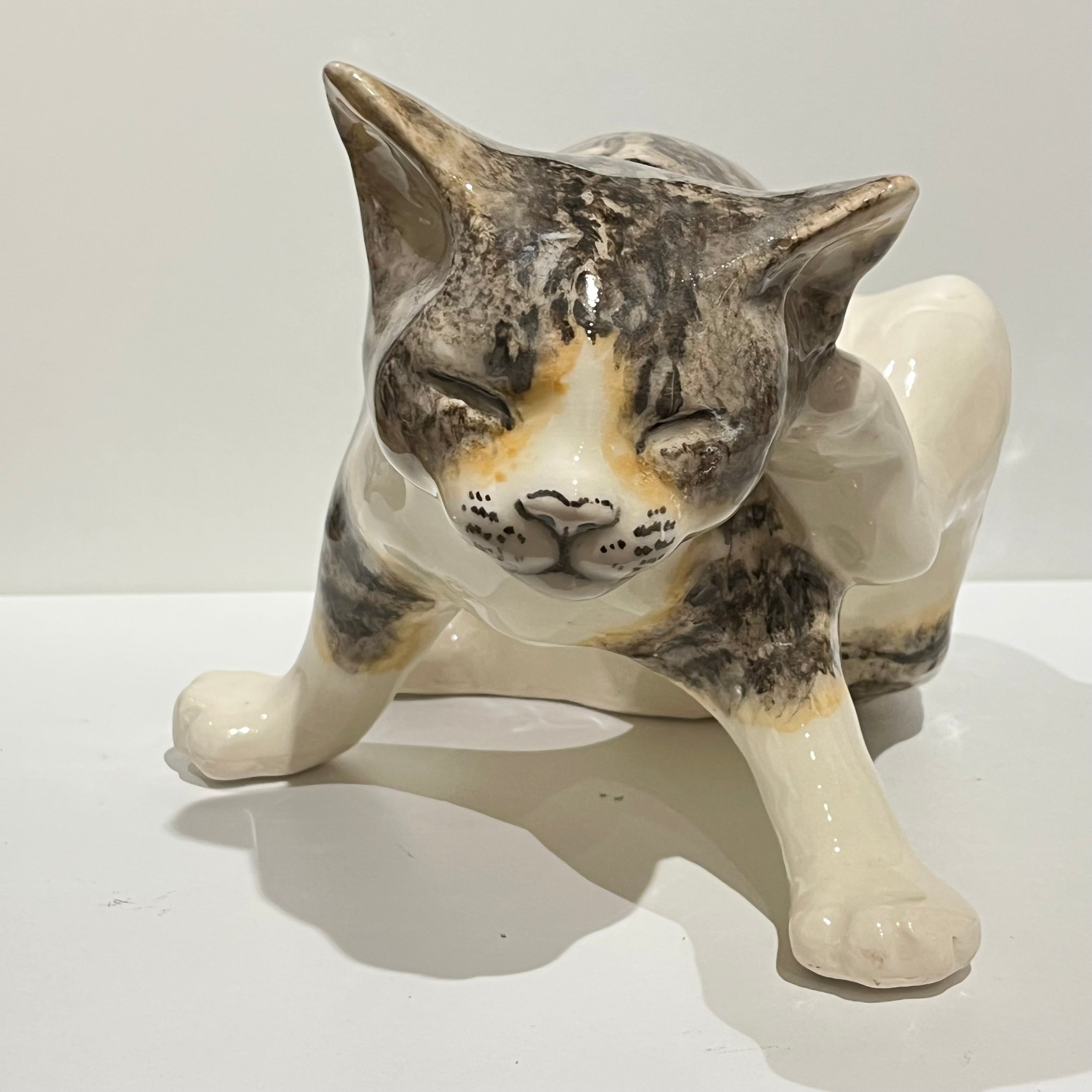 Tabby & White Scratching Winstanley Cat - Size 5