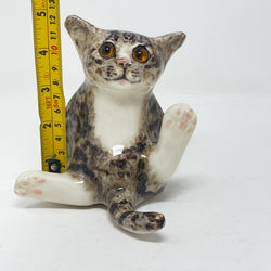 Winstanley Tabby Cat White Paws Size 2