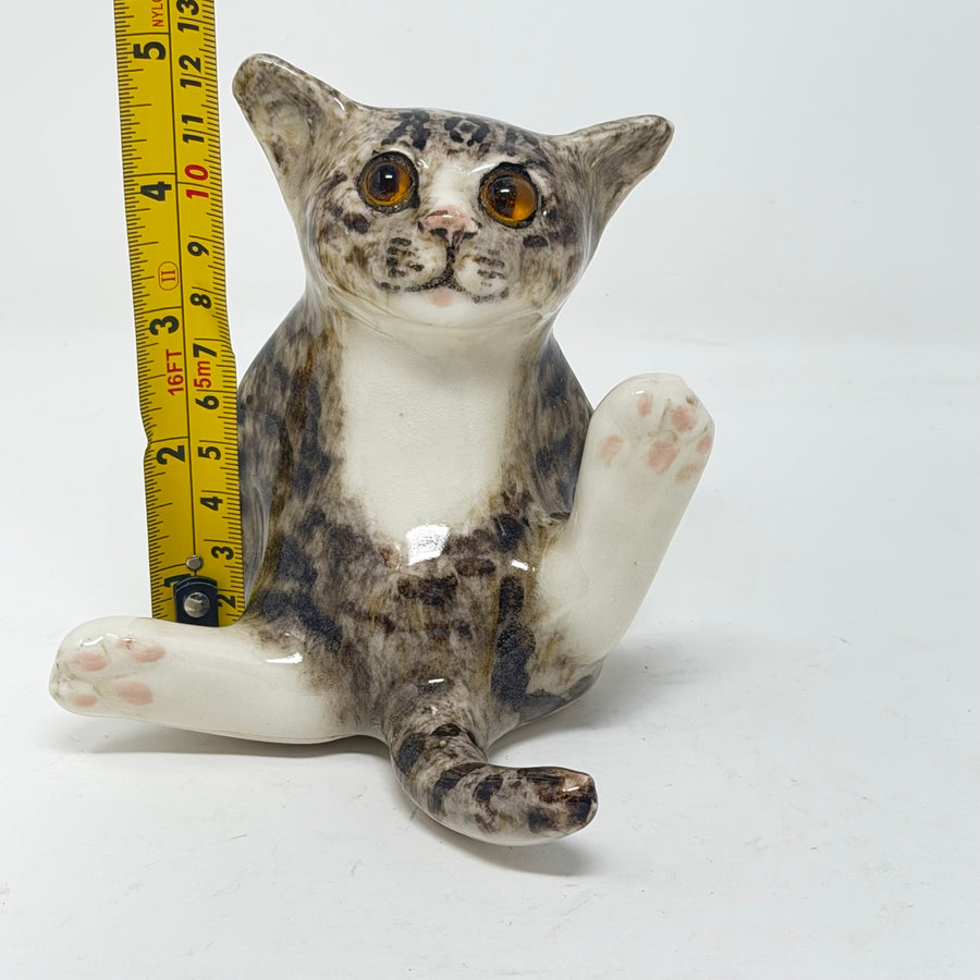 Winstanley Tabby Cat White Paws Size 2
