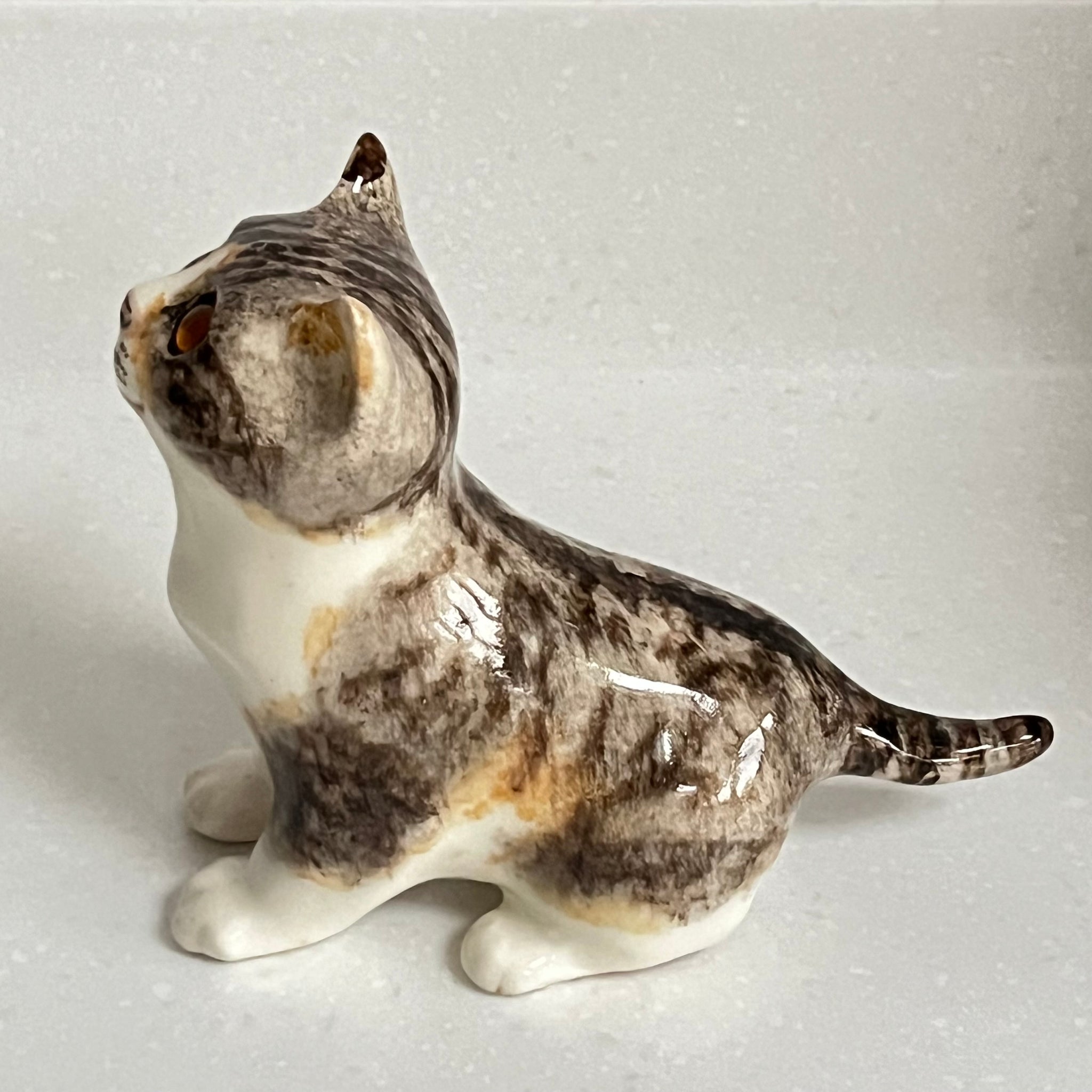 Winstanley Tabby and White Cat - Size 2