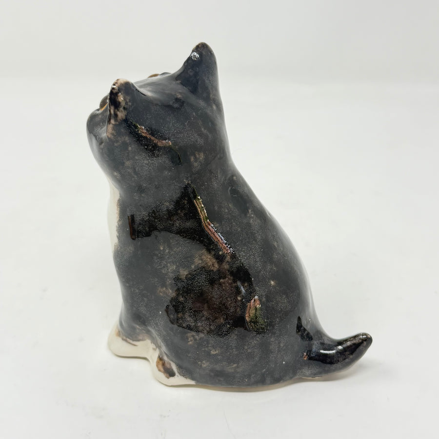 Winstanley Black & White Sitting Cat - Size 1