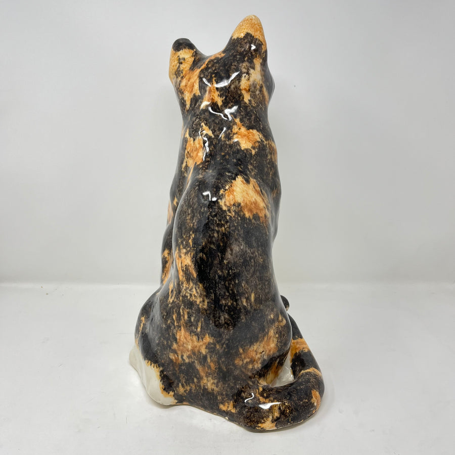 Winstanley Cat Tortoiseshell Size 8