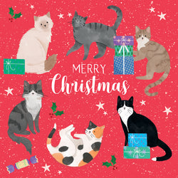 Illustration of cats and Christmas elements on a red background with 'Merry Christmas' text.