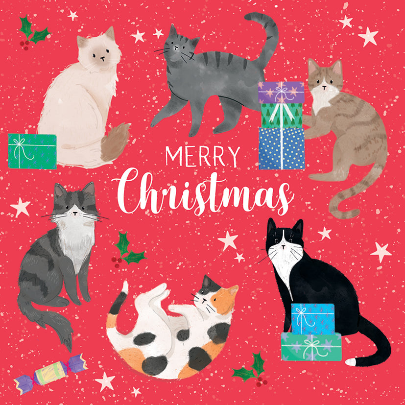 Illustration of cats and Christmas elements on a red background with 'Merry Christmas' text.