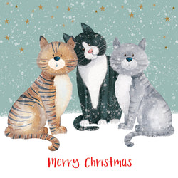 Three cartoon cats sitting together with a 'Merry Christmas' text on a snowy background.