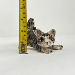 Winstanley Playful Grey Tabby Cat - Size 1