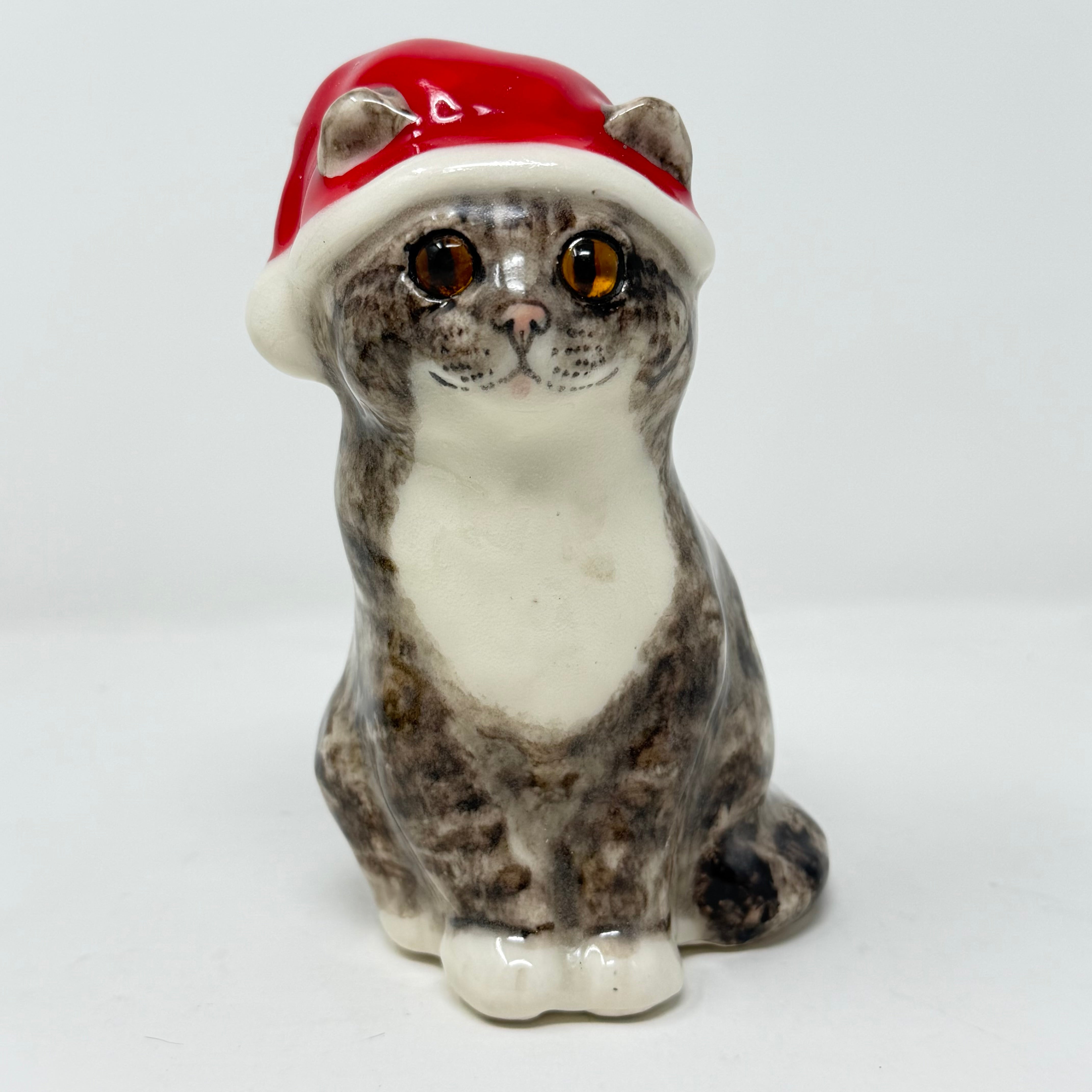 Winstanley Tabby Cat Santa Hat Size 2