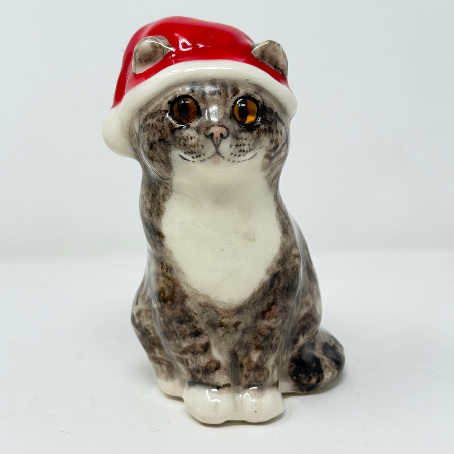 Winstanley Tabby Cat Santa Hat Size 2