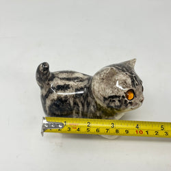 Winstanley Grey Tabby Head Cocked - Size 1
