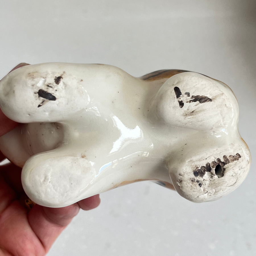 Winstanley Bengal Kitten - Size 1