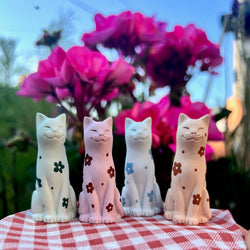 Flower Power Summer Lucky Kittens