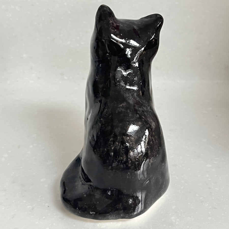 Winstanley Black and White Kitten - Size 1