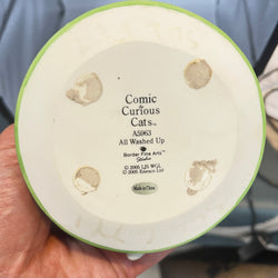 Vintage All Washed Up Comic & Curious Cats A5963