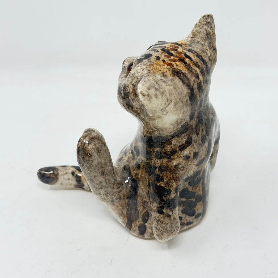 Winstanley Tabby Paws Cat Size 2