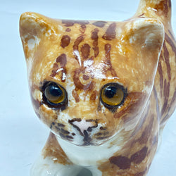 Winstanley Ginger & White Cat Standing - Size 1