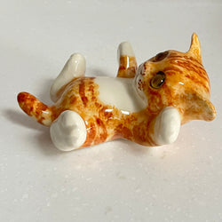 Winstanley Ginger Kitten on Back - Size 1