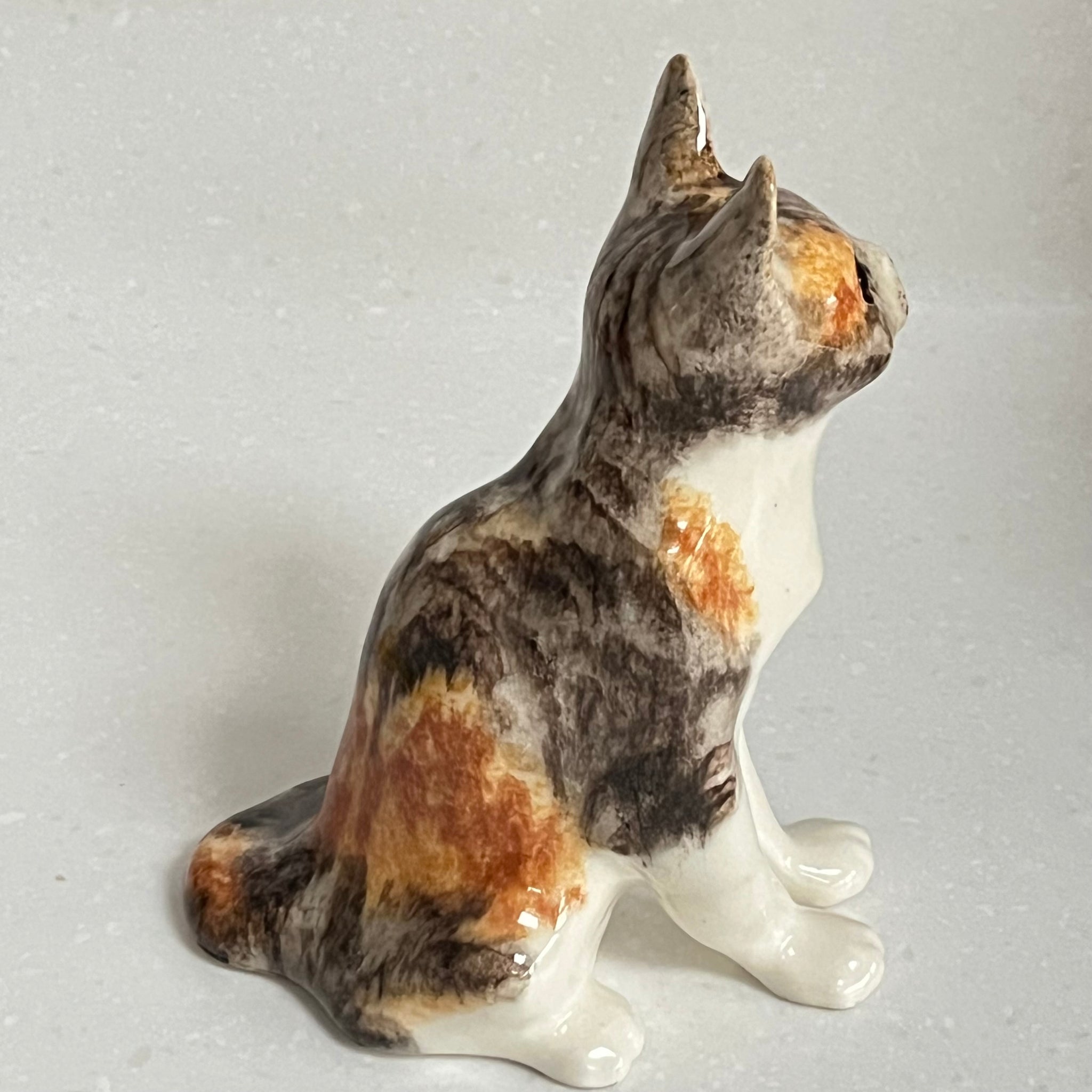 Winstanley Calico Cat - Size 2