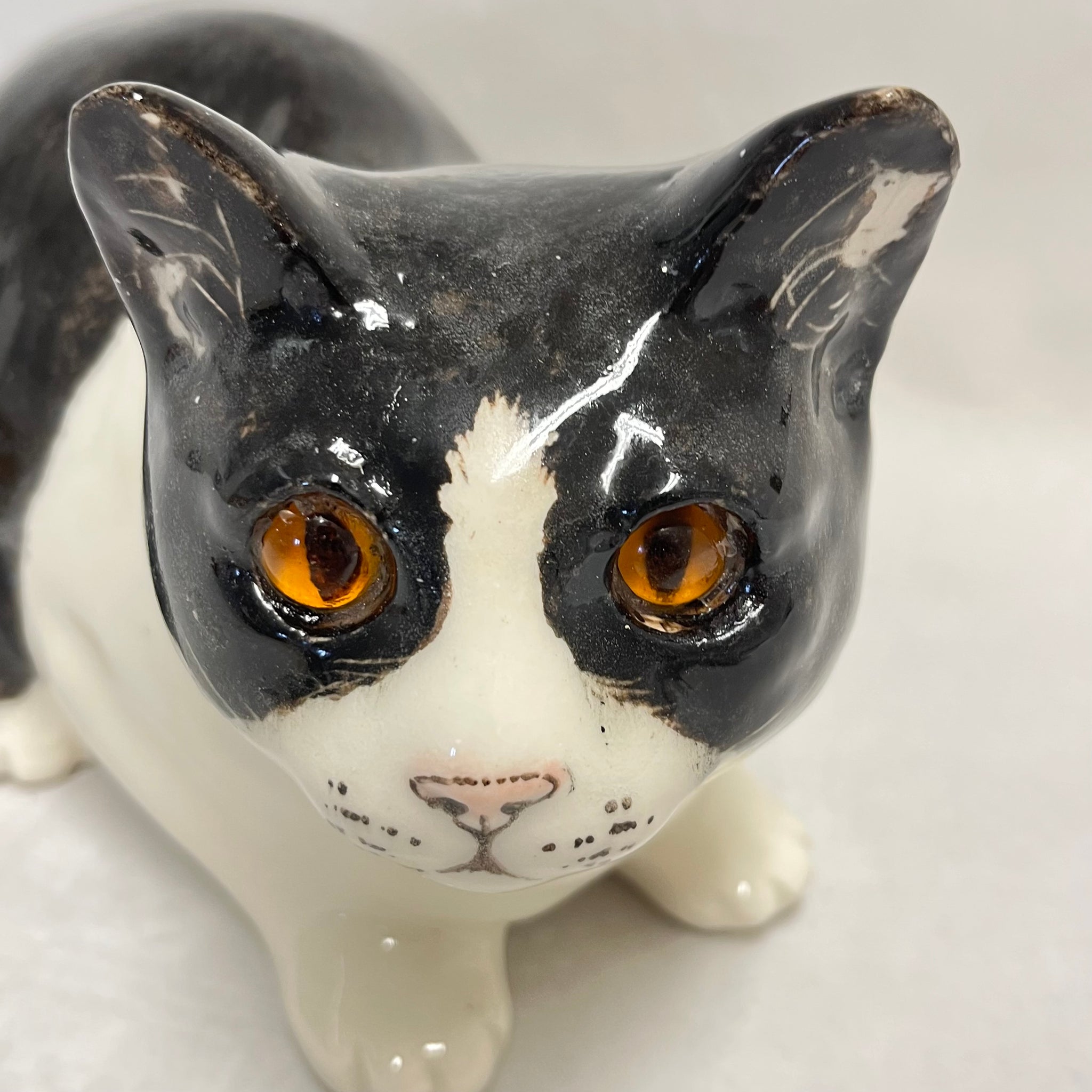 Winstanley Black & White Cat - Size 5