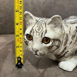 Winstanley Grey Tabby Crouching - Size 5