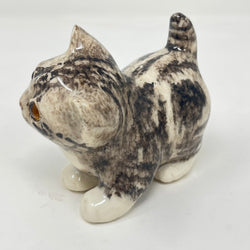 Winstanley Grey Tabby Head Cocked - Size 1